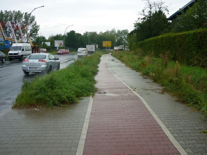 Radweg Bitterfelder Straße
