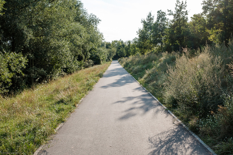 Asphaltierter gemeinsamer Geh- und Radweg Hoyerswerdaer Straße führt durch Natur