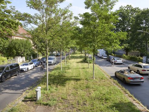 Blick auf die Thielallee mit zwei Fahrbahnen und begrüntem Mittelstreifen