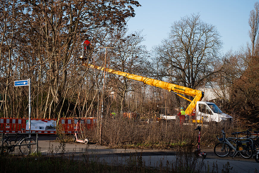 Baumarbeiten am Bahnhof Schöneweide