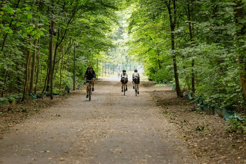 Menschen laufen und fahren Fahrrad auf einem breiten Weg im Wald