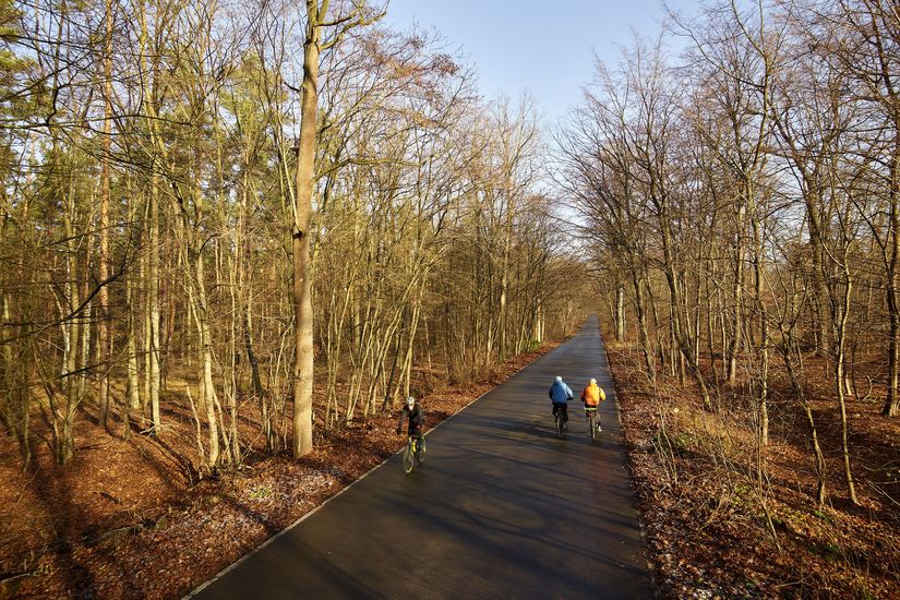 Fahrradfahrer im Grunewald