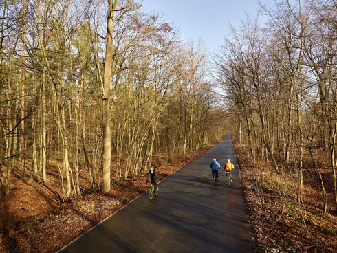 Fahrradfahrer im Grunewald