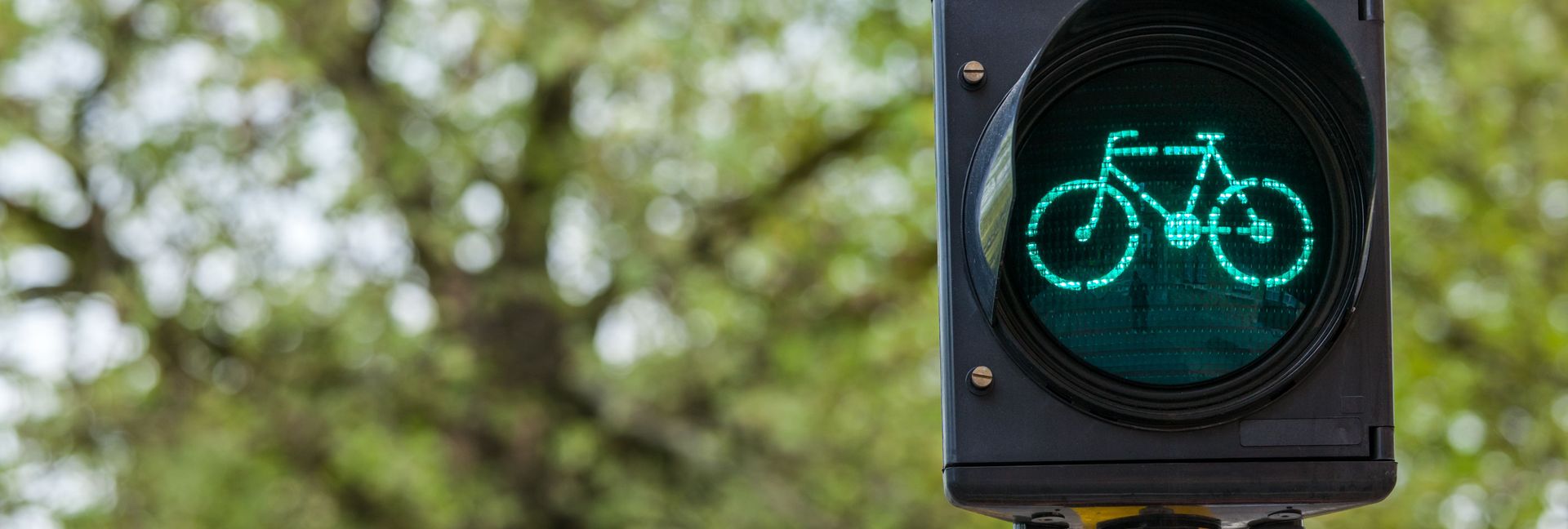 Grüne Fahrradampel im Hintergrund Bäume