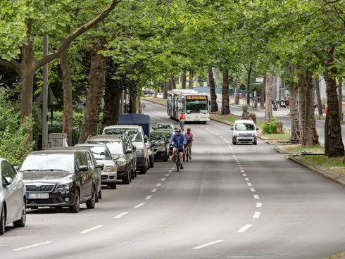 Fahrbahn auf dem Steglitzer Damm ohne Radfahrstreifen