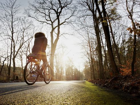 Radfahrerin fährt durch Grunewald Königsweg