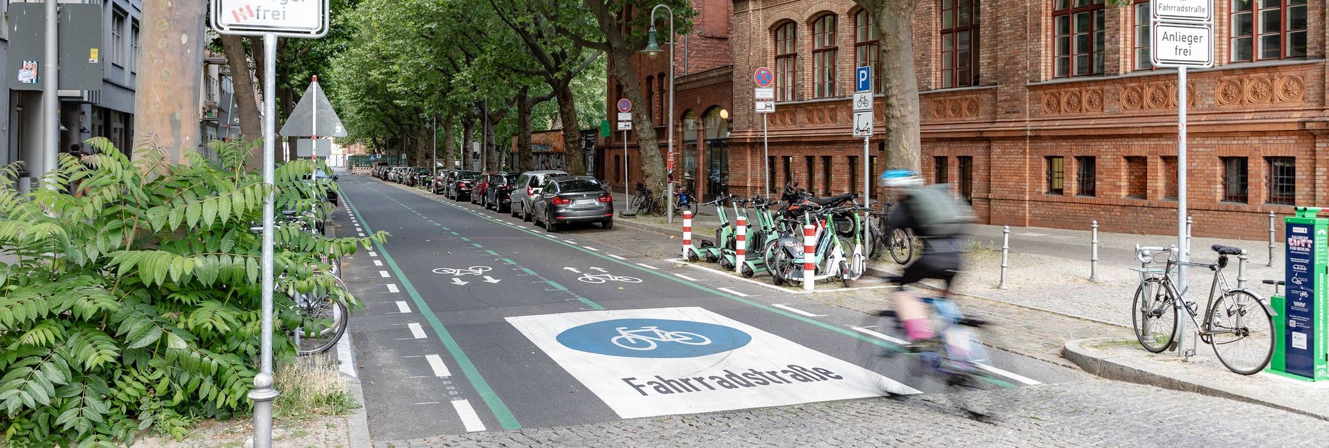 Fahrradfahrer auf einer Fahrradstraße mit Piktogramm auf dem Boden