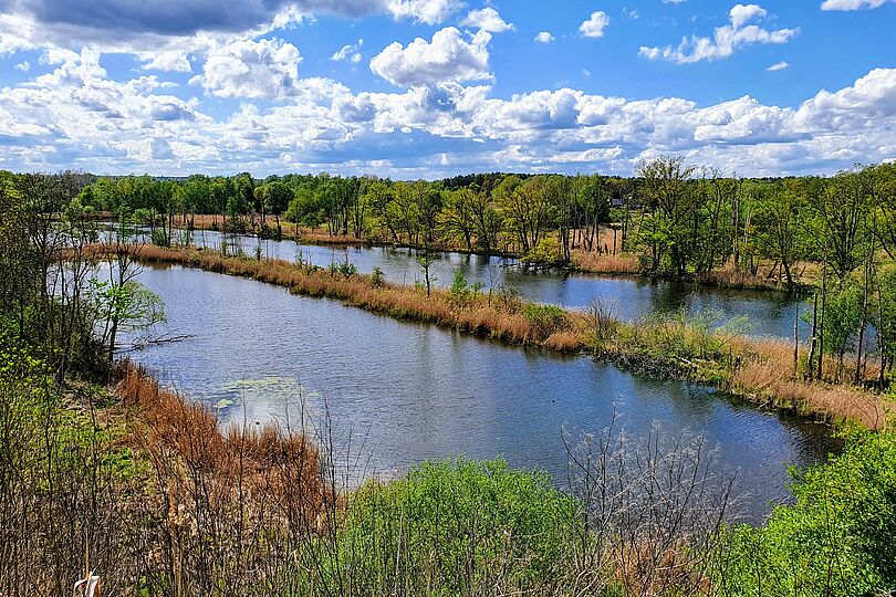 See- und Moorlandschaft