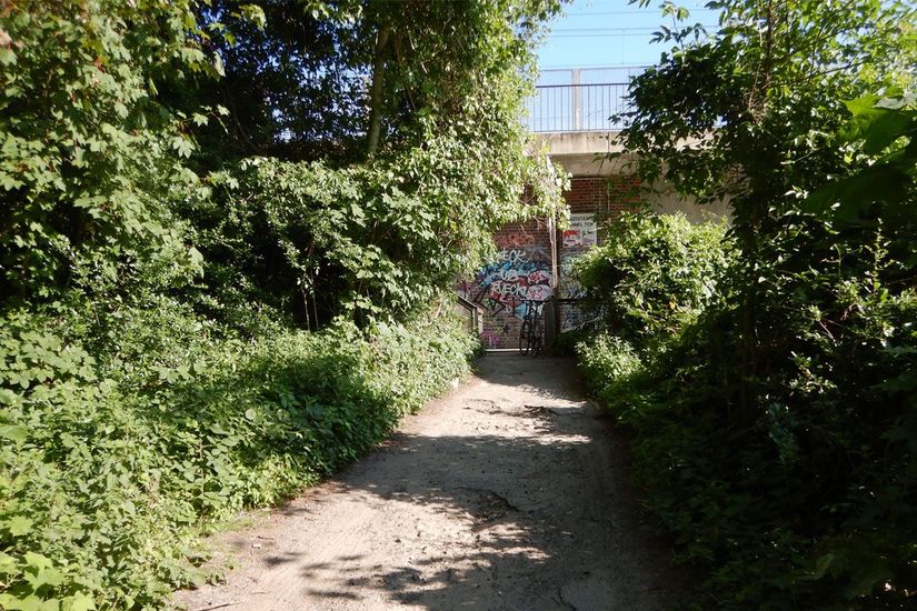 Weg an der Spree
