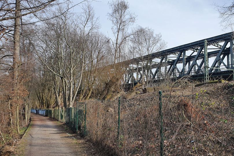 Abschnitt des Spree-Rad- und Wanderweges im Winter