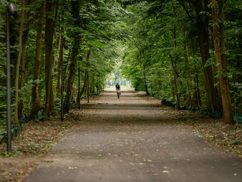 Fahrradfahrer auf einem Radfernweg am Spreepark Berlin