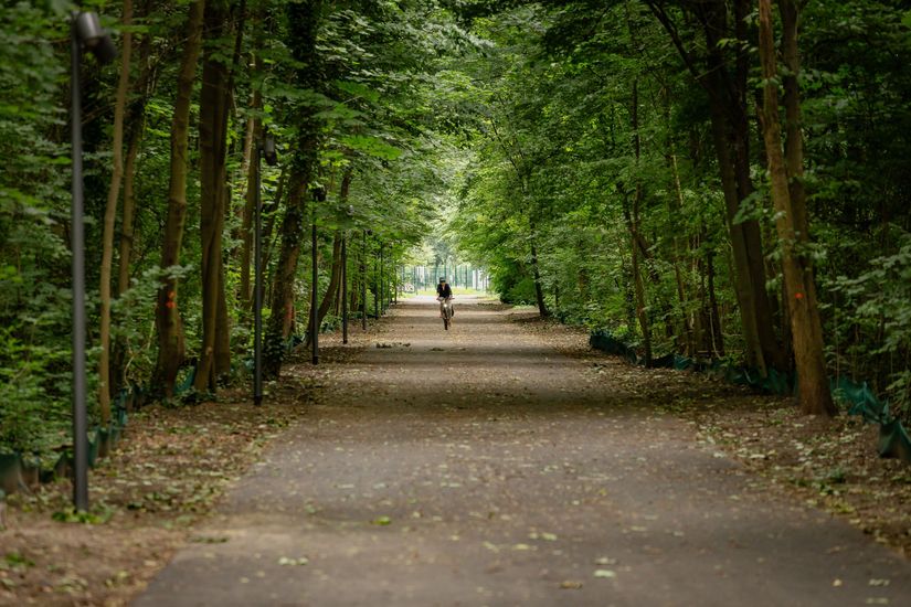 Fahrradfahrer auf einem Radfernweg am Spreepark Berlin