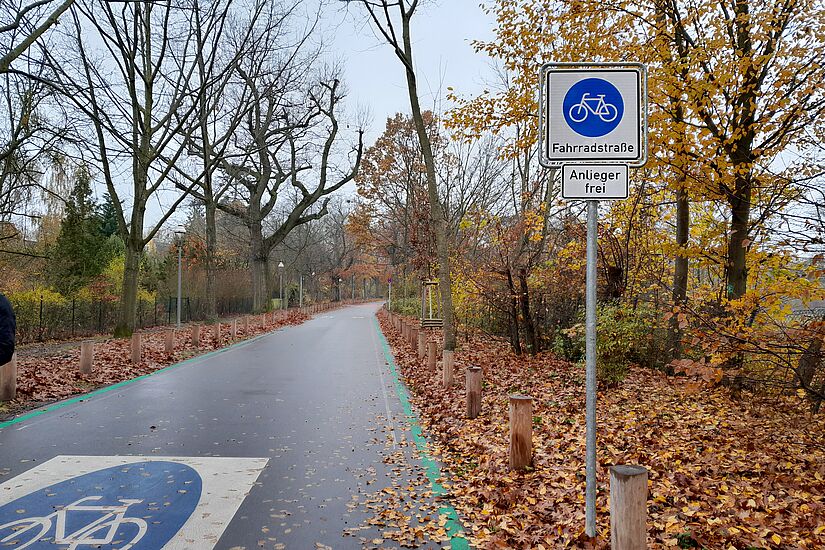 Blick auf eine Fahrradstraße mit Beschilderung, links und Rechts Grünstreifen mit Herbstlaub