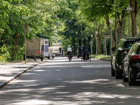 Fahrradfahrer fahren auf einer Straße entlang von vielen Bäumen, rechts und links stehen parkende Autos