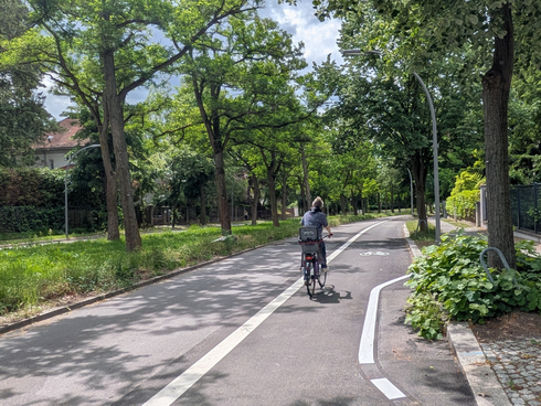 Radfahrstreifen mit Fahrradfahrer