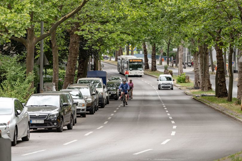 Fahrradfahrende fahren auf einer Fahrspur auf dem Steglitzer Damm