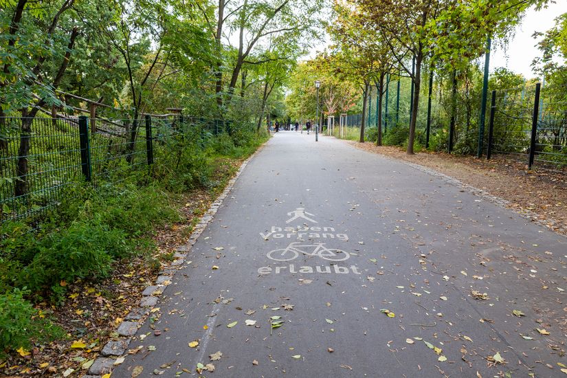 Asphaltierter Radweg durch Görlitzer Park