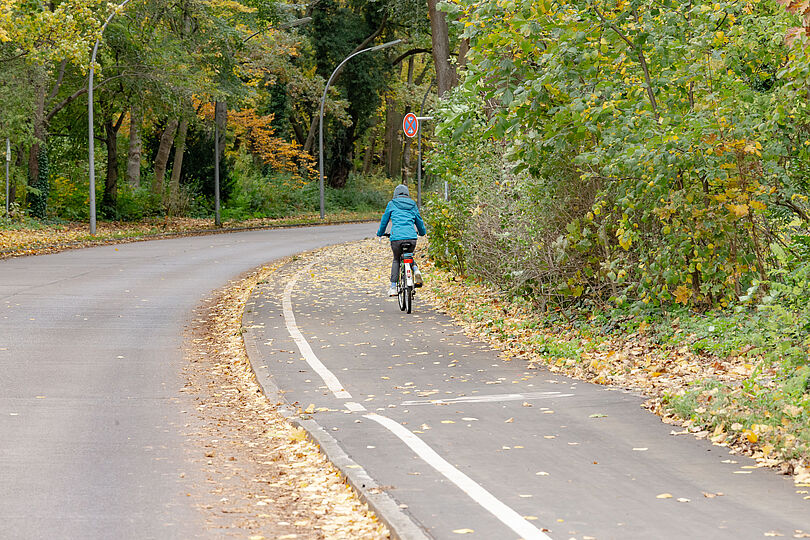 Fahrradfahrer auf dem Hochbordradweg Borsigdamm