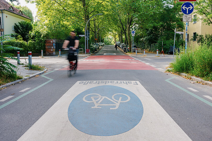 Fahrradfahrer fährt auf einer Fahrradstraße, auf deren Fahrbahn ein großes Fahrradstraßenpiktogramm aufgebracht ist