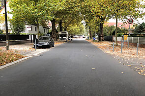 Asphaltierte Platanenstraße