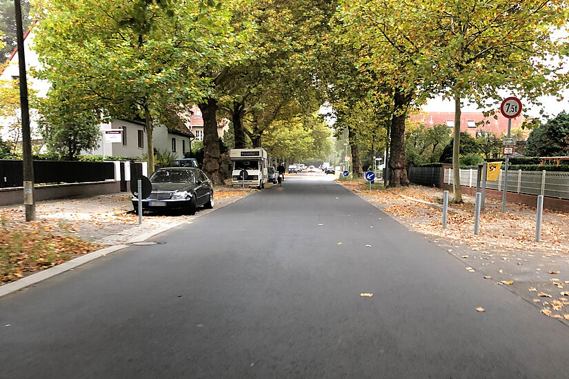 Asphaltierte Platanenstraße