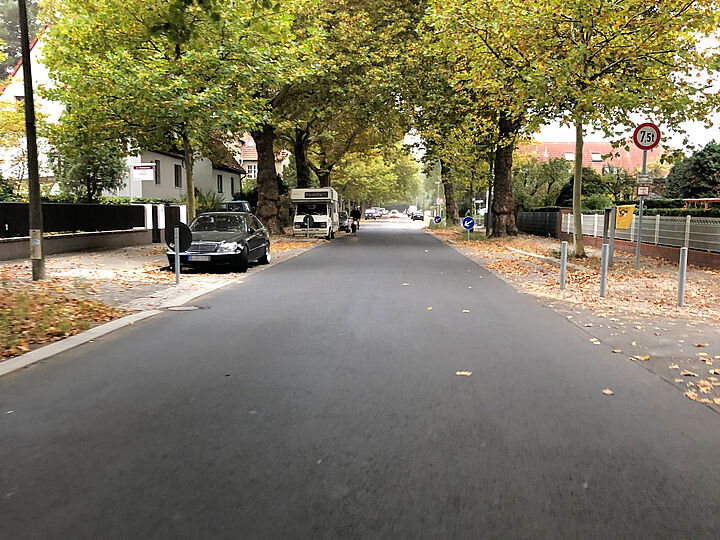 Asphaltierte Platanenstraße