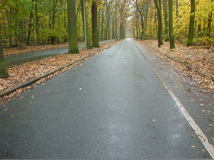 Radfahrstreifen entlang Friederikestraße mit Laub