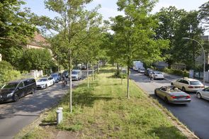 Baumgesäumte Straße mit Mittelstreifen, fahrenden Autos, parkenden Fahrzeugen und Radfahrern