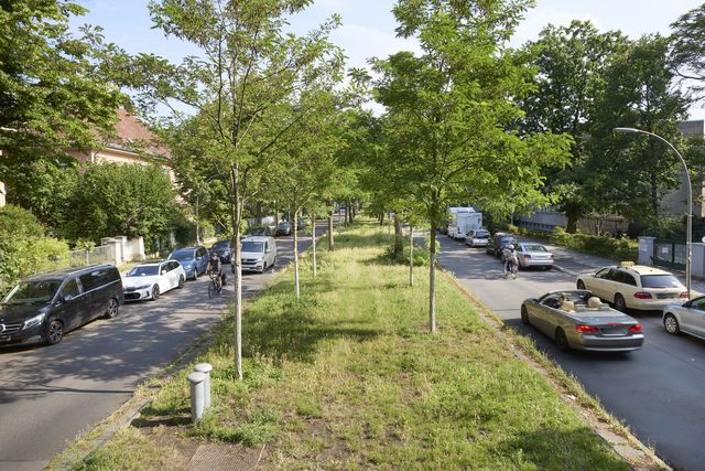 Baumgesäumte Straße mit Mittelstreifen, fahrenden Autos, parkenden Fahrzeugen und Radfahrern