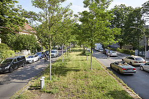 Baumgesäumte Straße mit Mittelstreifen, fahrenden Autos, parkenden Fahrzeugen und Radfahrern