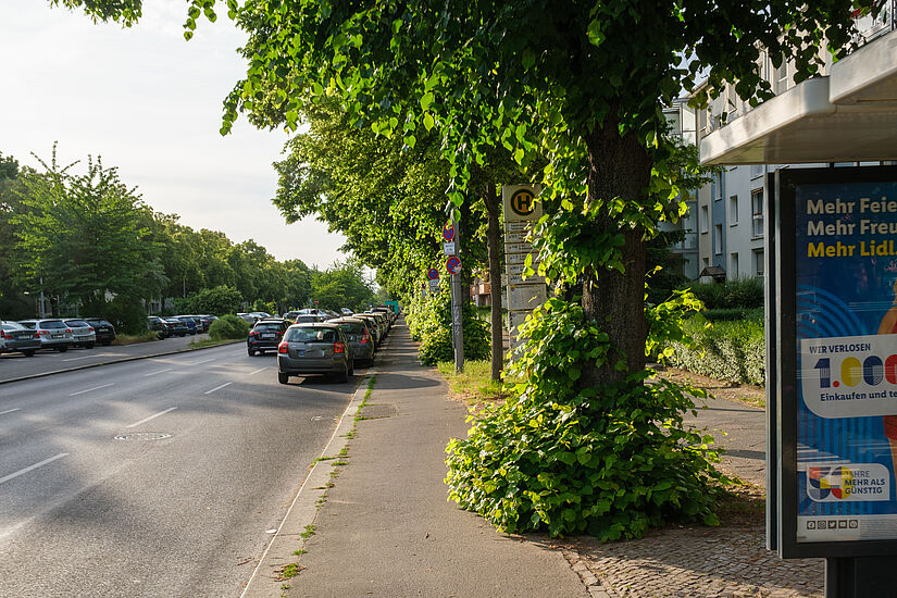 Radweg Köpenicker Landstraße