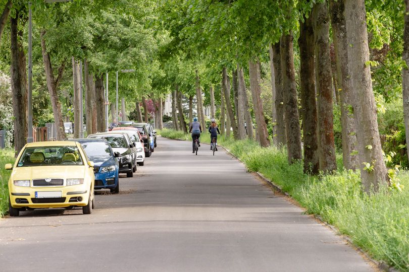 Fahrradverkehr auf der Sondershausener Straße