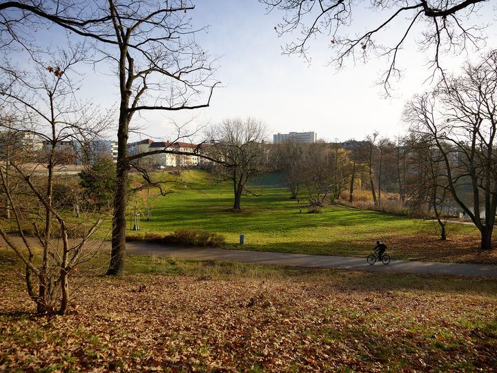 Fahrradfahrer fährt durch Friedenthalpark