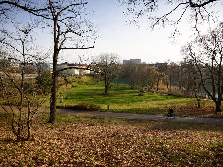 Fahrradfahrer fährt durch Friedenthalpark