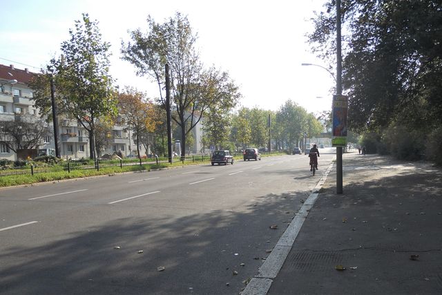 Verkehr auf Danziger Straße