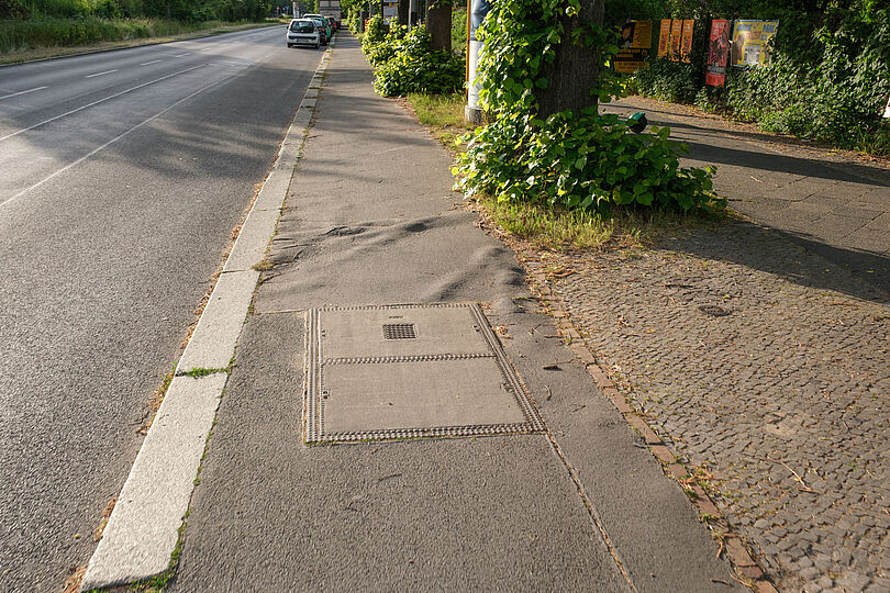 Radweg mit Baumwurzeln Köpenicker Landstraße