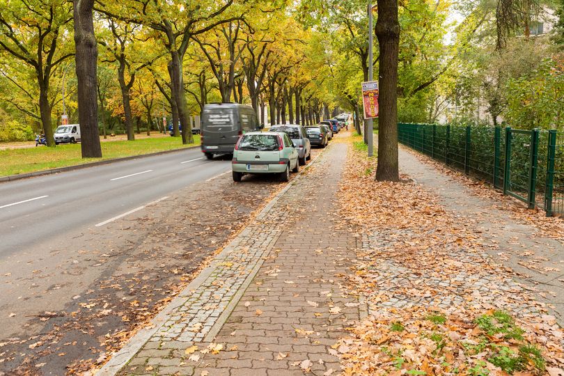 Radweg entlang Potsdamer Chaussee