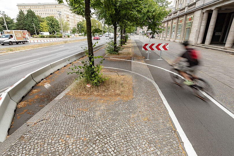 Radfahrende auf einem weißmarkierten Hochboardradweg, der auf die Straße mit Betonkastenprotektionen führt.