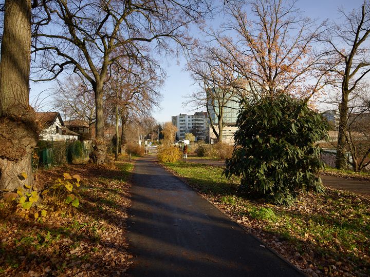 Weg durch Friedenthalpark