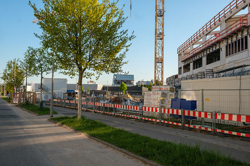 Mit Bäumen gesäumte Straße, Blick auf Baustelle, davor ein Hochbordradweg auf dem schmalen Gehweg