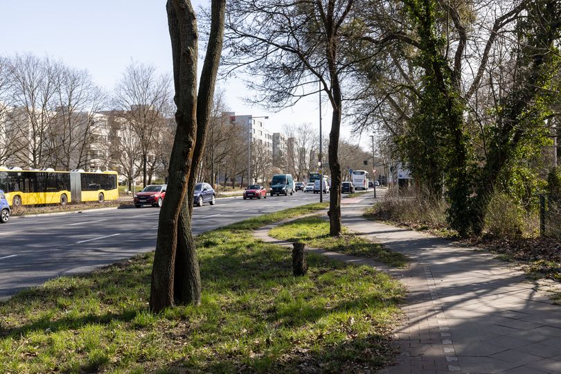 ein von Gras überwucherter Radweg Heerstrasse in Berlin