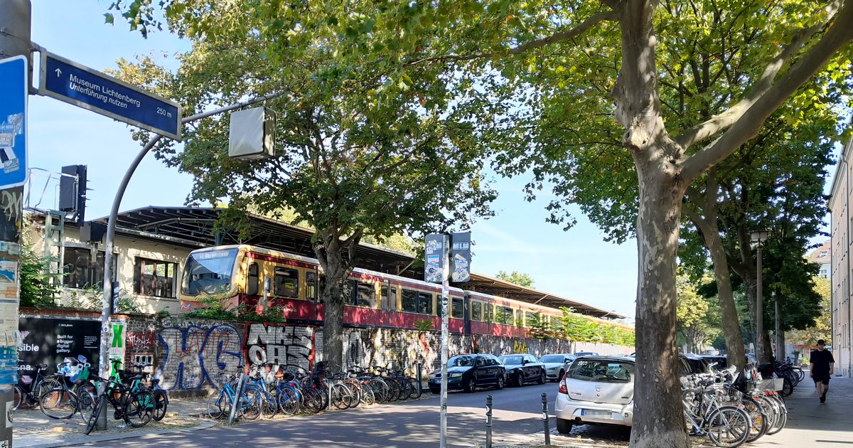gepäckträger für mountainbike mit vollfederung ANGGOER Fahrrad - Aluminiumlegierung Fahrradgepäckträger MTB Gepäckträger Fahrrad Reflektor/Fahrradkörbe Chain Compatibility_KMC & Wippermann 12spd Paar:36 HDZero Goggle 2 FPV