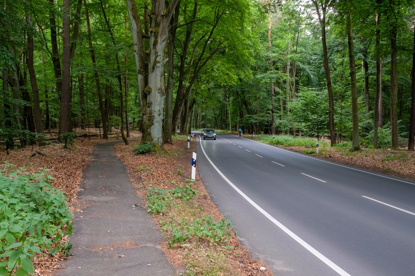 Radweg Konradshöher Straße durch Tegeler Forst