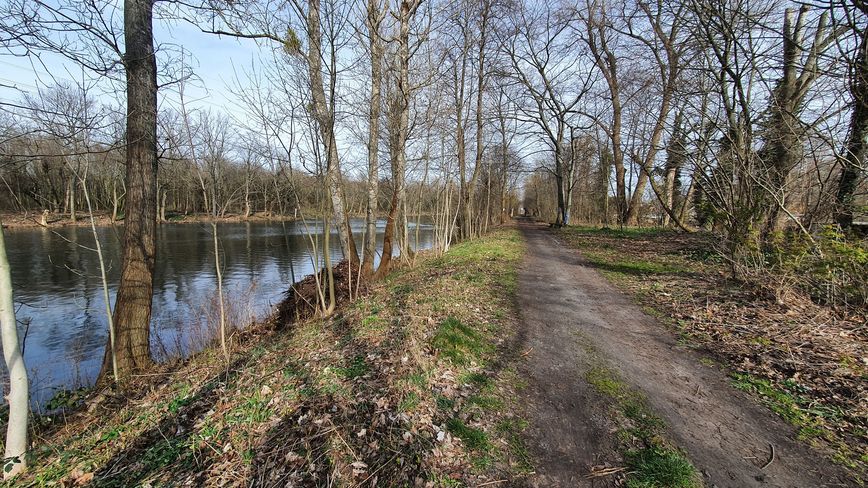 Abschnitt entlang Wasser auf Spree-Rad- und Wanderweg