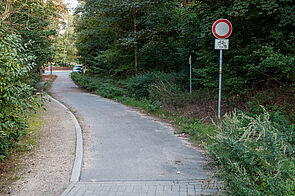 asphaltierter Weg zwischenb Bäumen und Büschen auf beiden Seiten