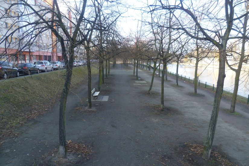 Sandiger Uferweg mit Baumreihen und einem Bank.