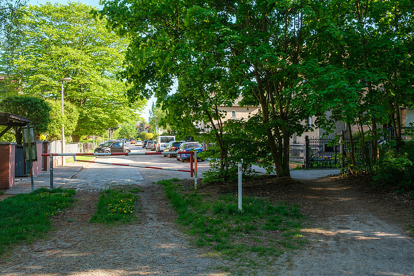 Waldweg der zu einer Kopfsteinpflasterstraße führt.