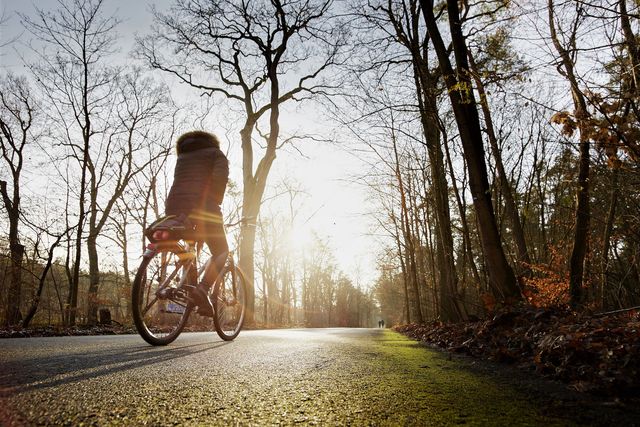 Radfahrerin auf Kronprinzessinnenweg im Grunewald