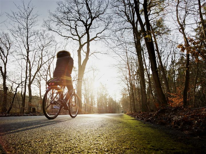 Radfahrerin auf Kronprinzessinnenweg im Grunewald